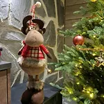 Rusty Reindeer Διαμέρισμα Levi