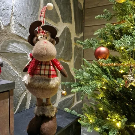 Rusty Reindeer Apartment Levi