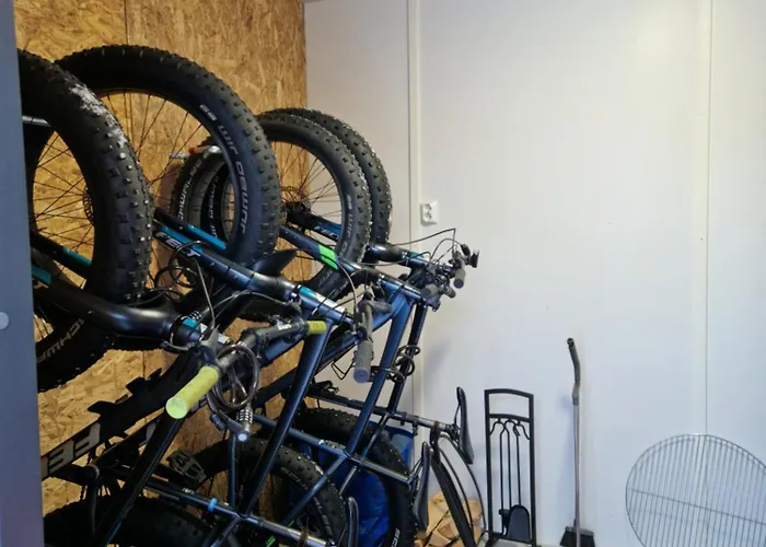 아파트 Rusty Reindeer 레비